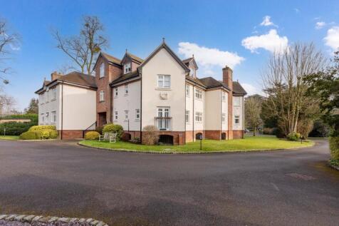 Property Image 17