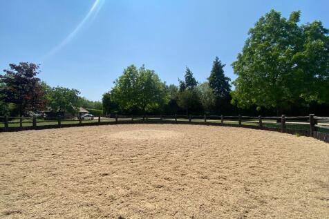 Lunge Ring