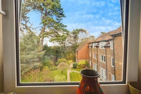VIEW FROM BEDROOM