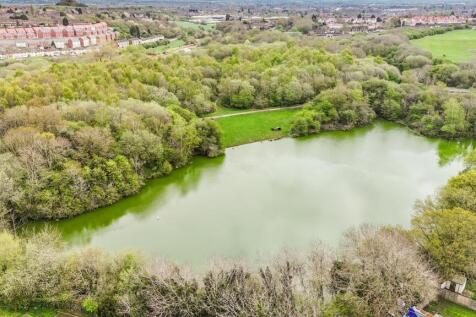 DJI_20240413104015_0001_D.jpg