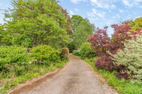 Property Image 36
