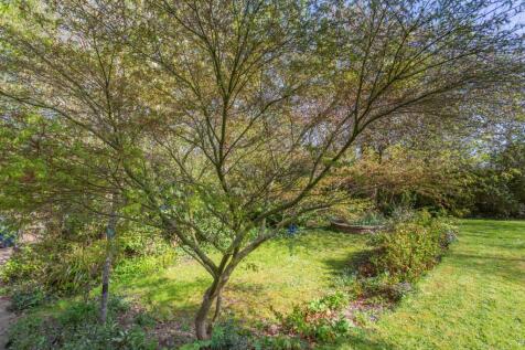 Property Image 42