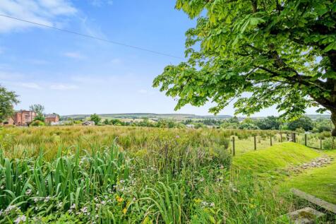 Property Image 56