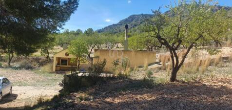 Property Image 6