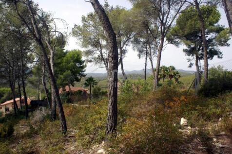 Property Image 12