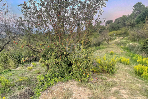 Property Image 18