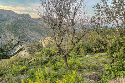 Property Image 19