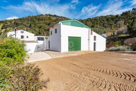 Property Image 23