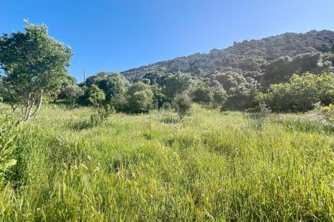 Property Image 76