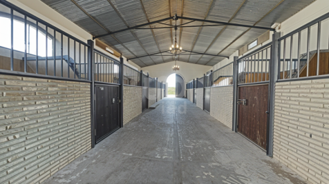 Property Image 23