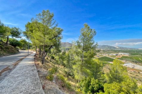 Property Image 25