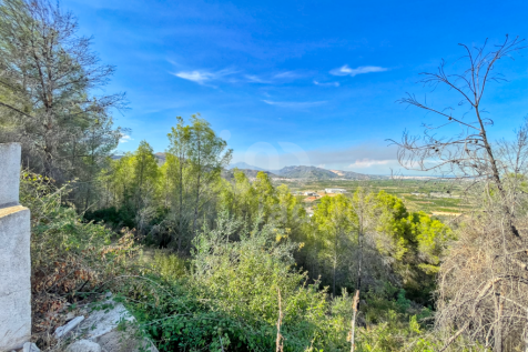 Property Image 36