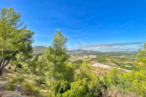 Property Image 32