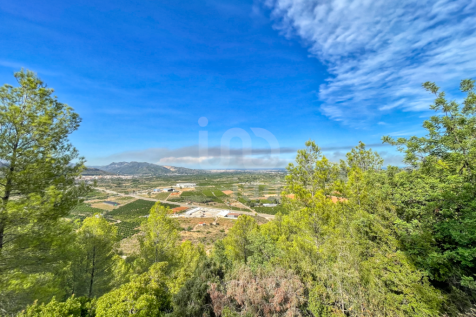 Property Image 37