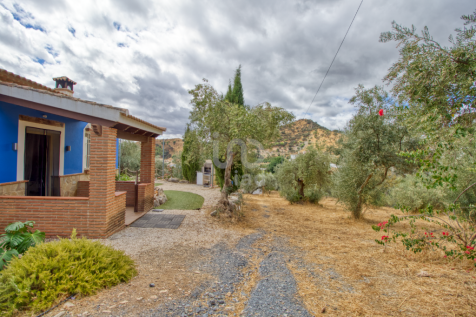 Property Image 21