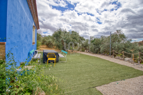 Property Image 22