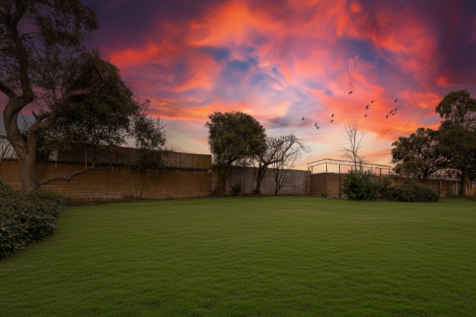 Communal Gardens