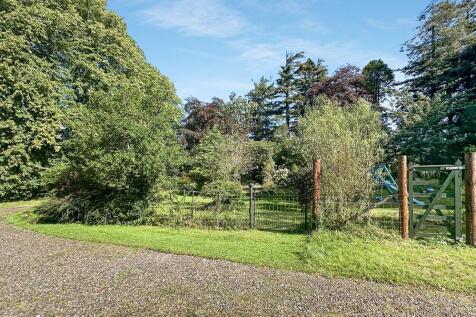 Property Image 41