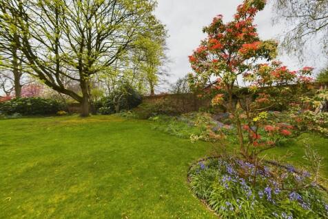 Property Image 43