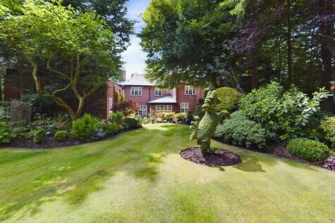 Property Image 42
