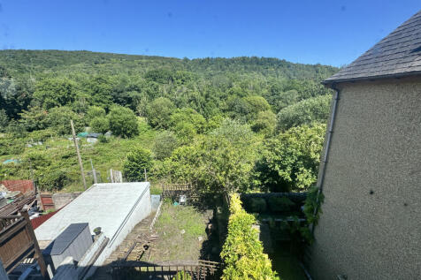 IMG_6791.jpeg