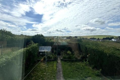 IMG_7038.jpeg