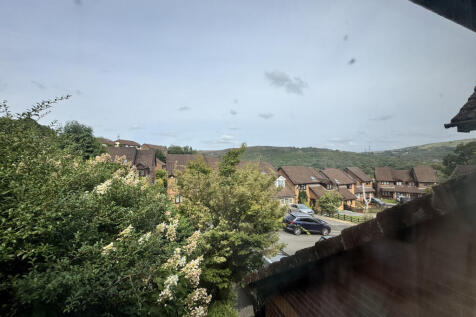 IMG_7926.jpeg