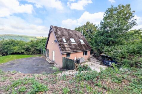 PICNIC_20250615_102144455~2