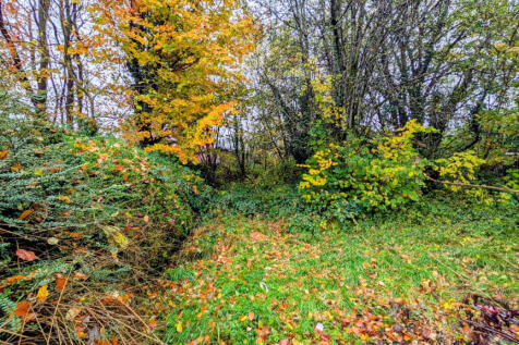 PXL_20251105_121743385~2