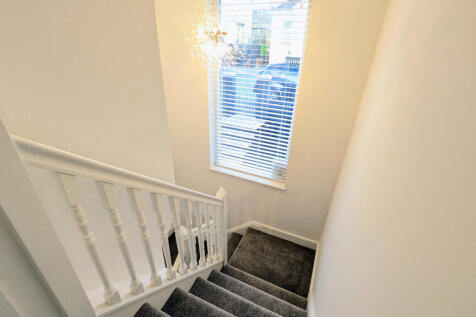 PXL_20251124_121214608~2