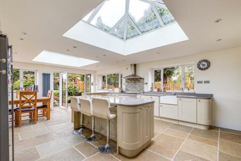 4J6A4172-EditTheDurhamHeifer.Resized.jpg