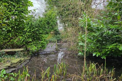 Water Feature