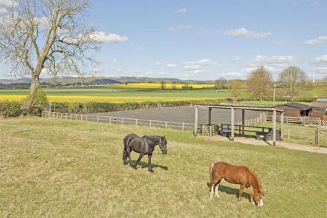 GRAZING AND ARENA
