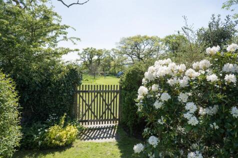 Gate to paddock