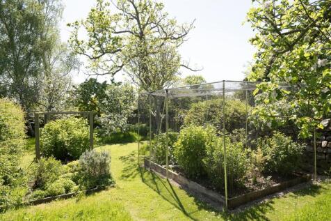 Fruit garden