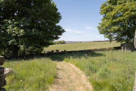 West Paddock