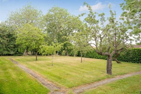 Orchard