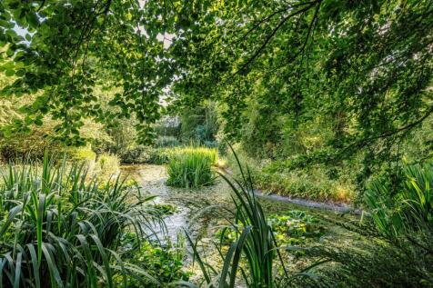 Pond