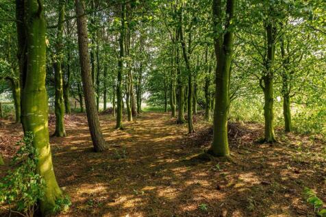 Woodland
