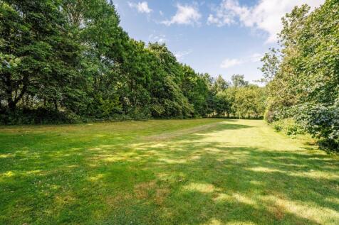 Camping field