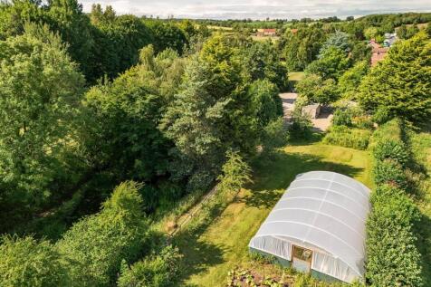 Polytunnel