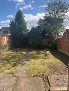 garden.jpeg