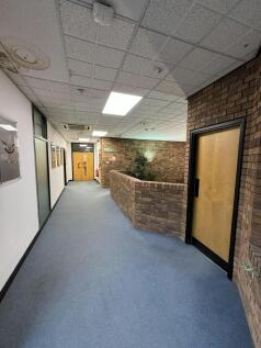 IMG_7982.jpg