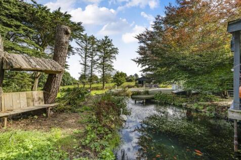 Garden Pond