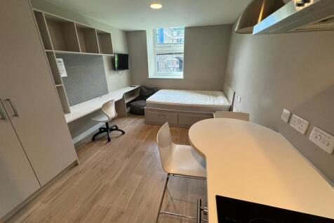 Tyne Bridge standard studio view from kitchen.jpg