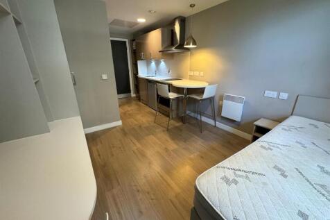 Tyne Bridge standard studio view from bed space to