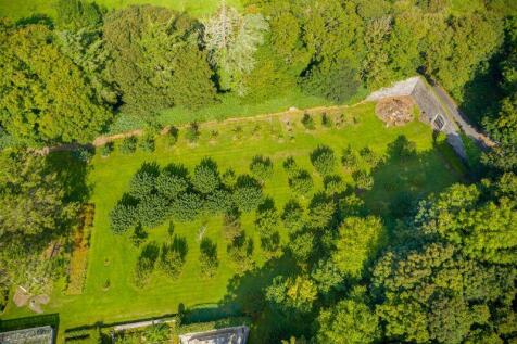 Orchard Birdseye