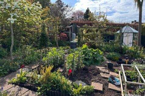 Veg patch