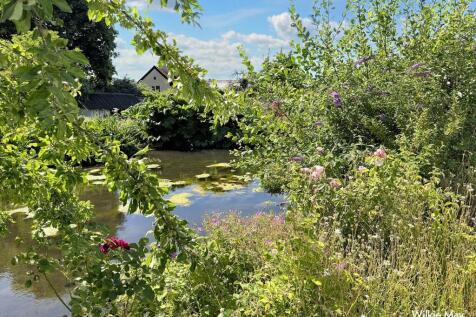 Pond