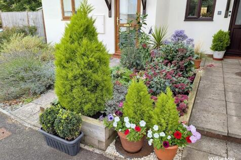Front garden